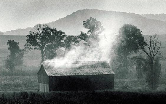 The Rich History and Unique Beauty of Darkfire Tobacco Barns and Reclaimed Barnwood
