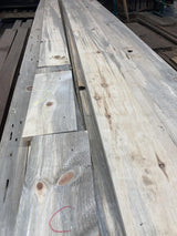 Blue Stain Sugar Pine