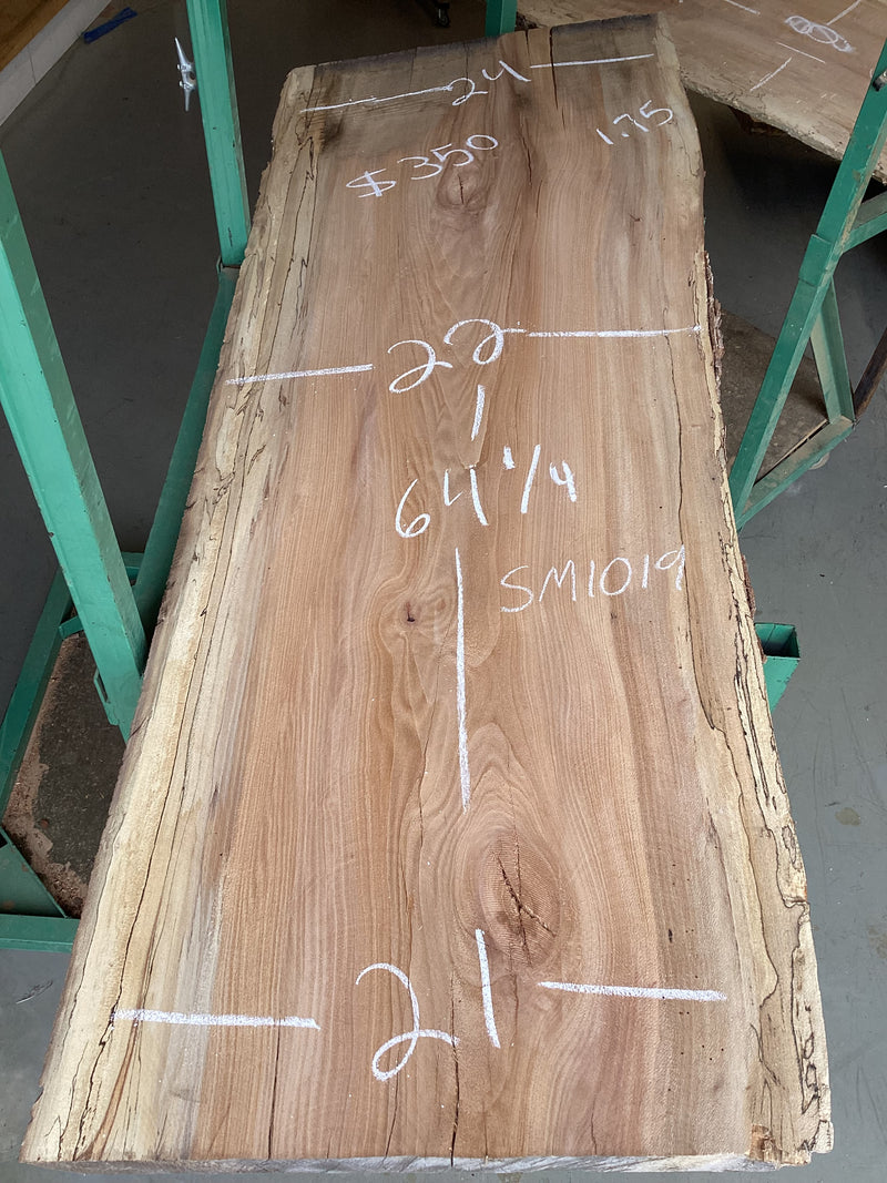 Spalted Maple Slab SL-SM1019